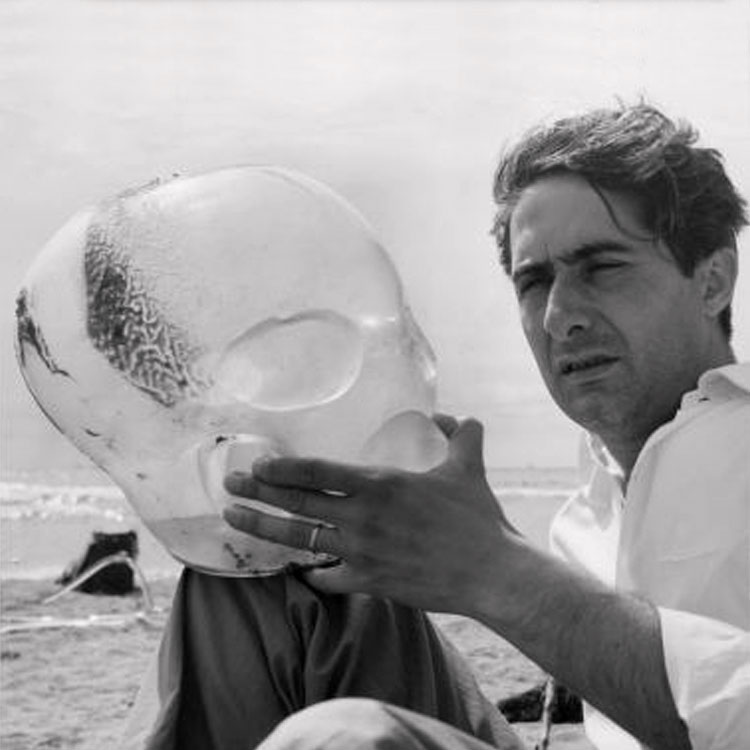 Vinicio Vianello 4 vinicio vianello bio